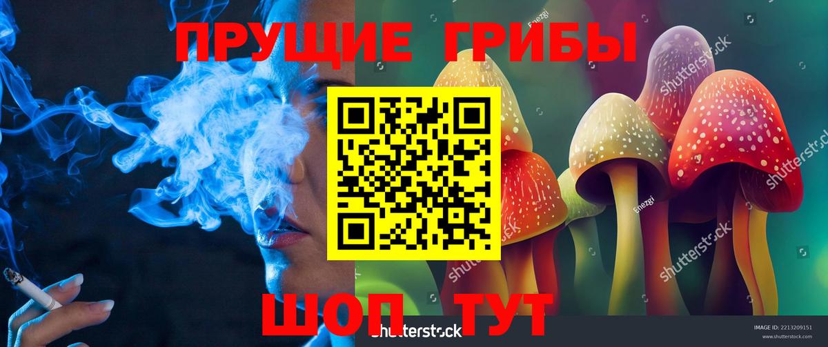 Псилоцибиновые грибы Psilocybine cubensis Геленджик